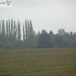 dsc 0498 - Sportraad Zaventem 